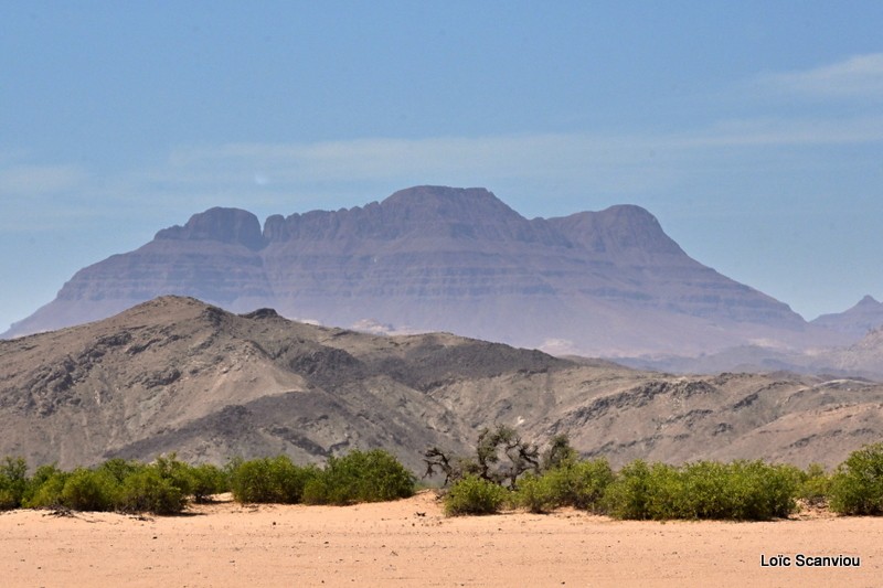 Dsc 4371