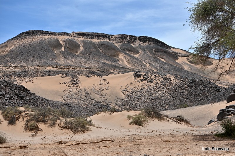 Dsc 4677
