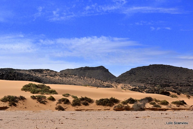 Dsc 5061