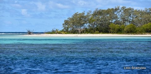 Dsc 5274