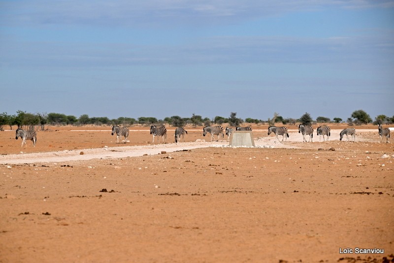 Dsc 5346