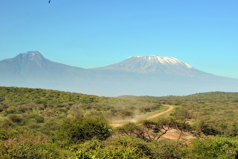 Kilimanjaro