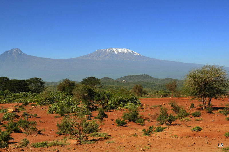 Kilimanjaro