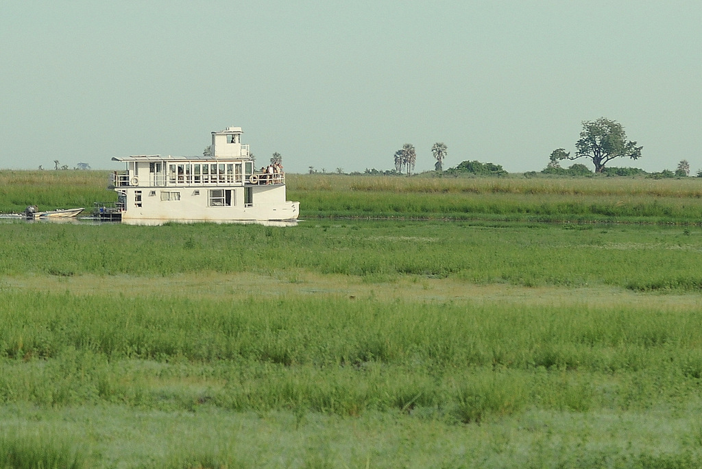 Chobe (3)
