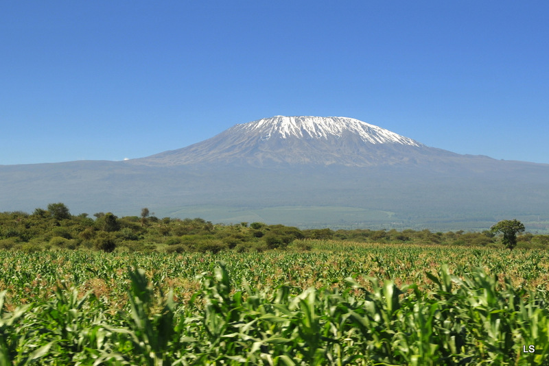 Kilimanjaro