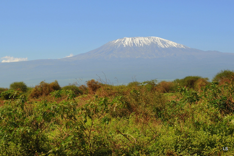 Kilimanjaro