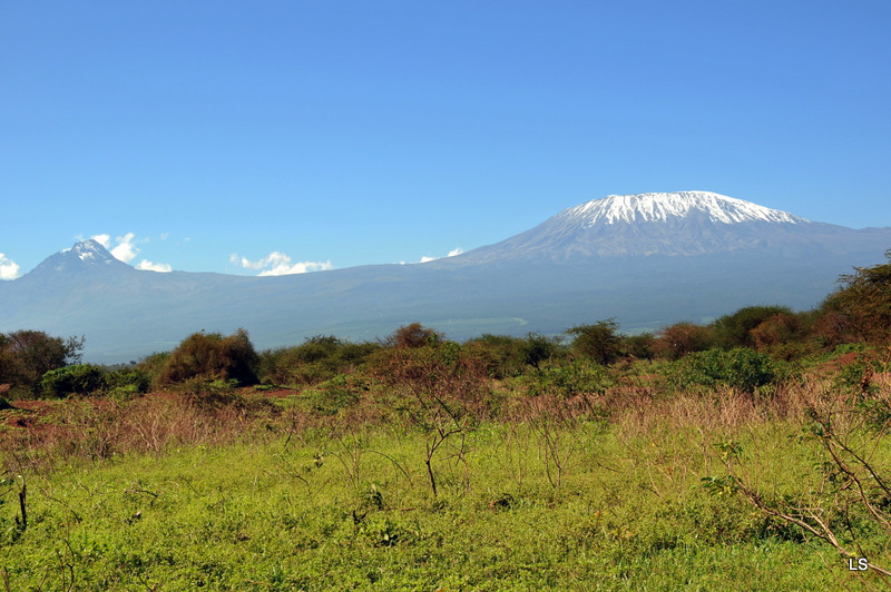 Kilimanjaro