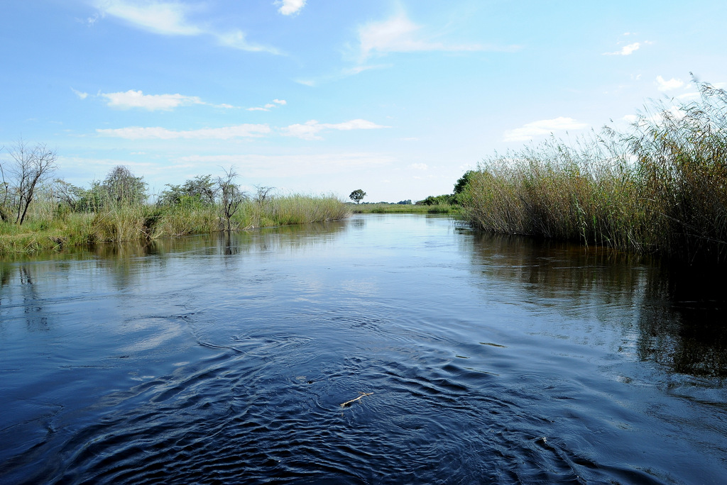 Kwando River