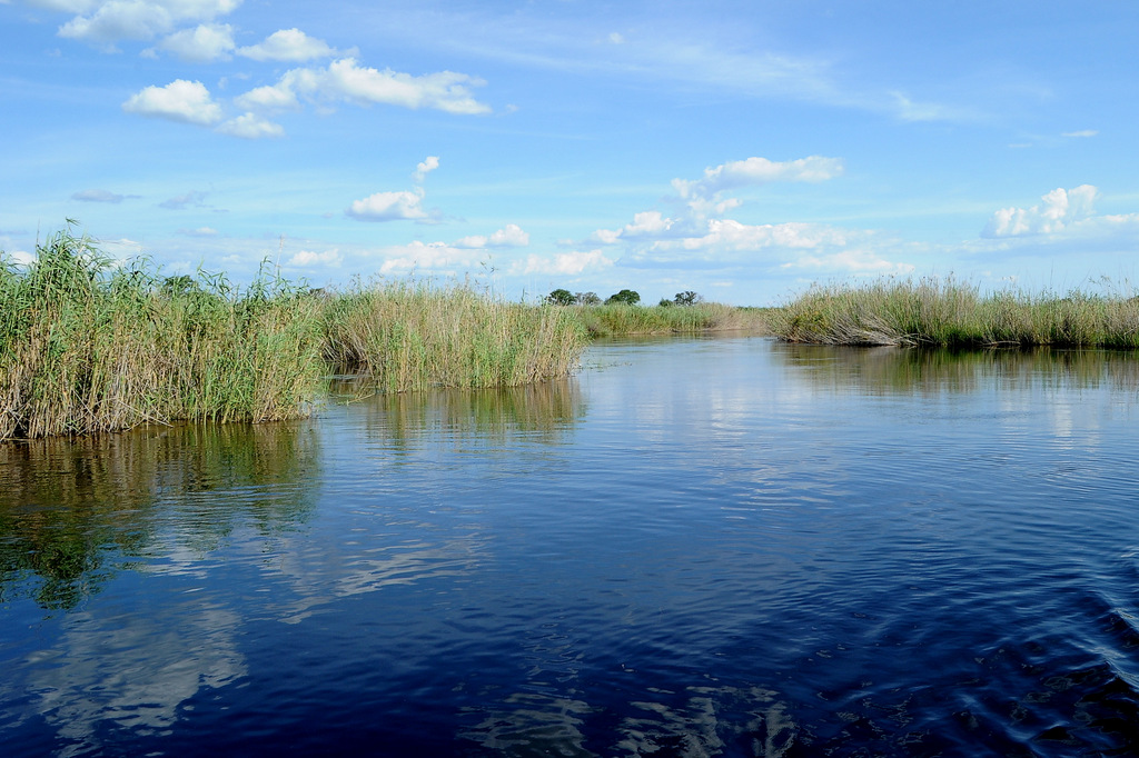 Kwando River