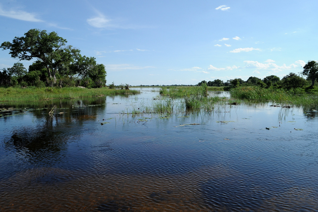 Kwando River