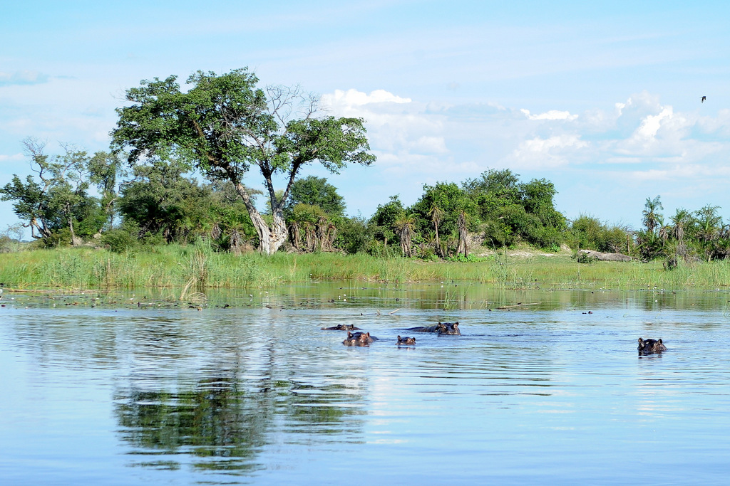 Kwando River