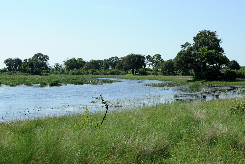 Kwando River