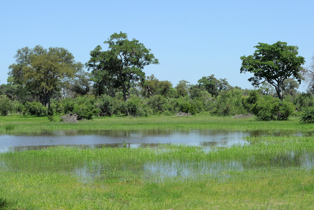 Kwando River