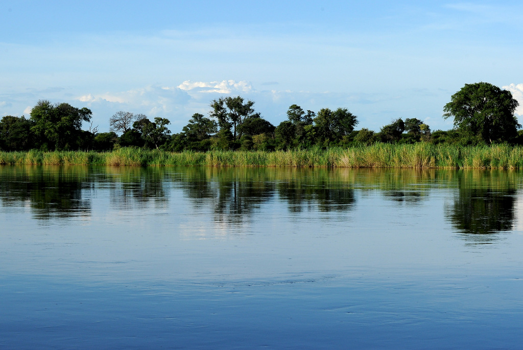 Rivière Okavango