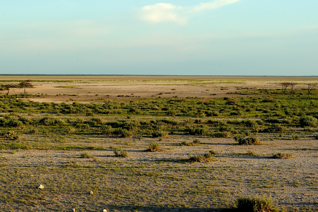 Etosha (1)