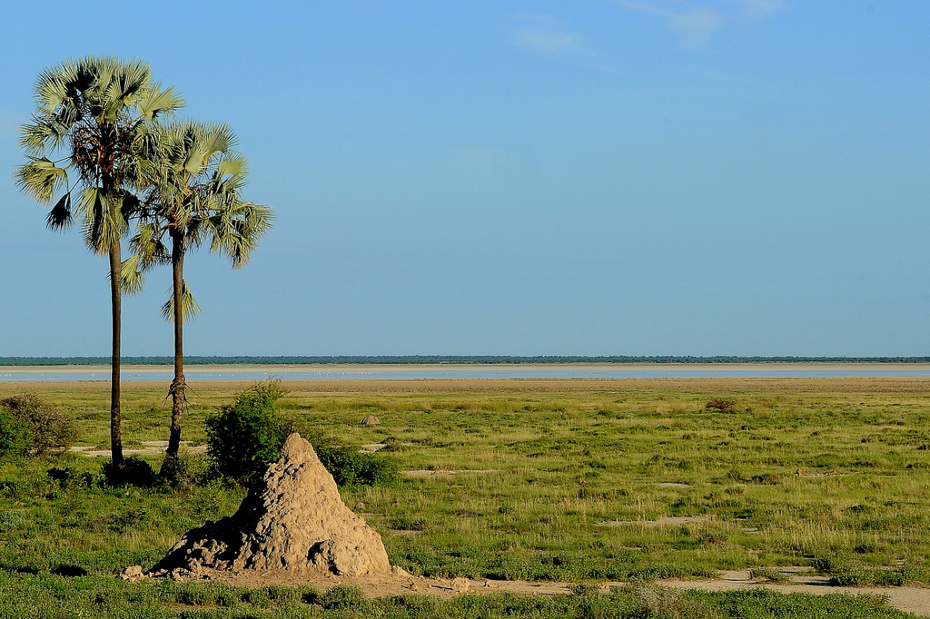 Etosha (4)
