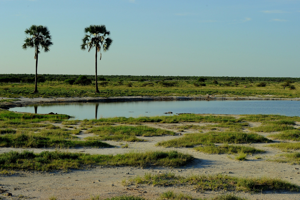 Etosha (5)