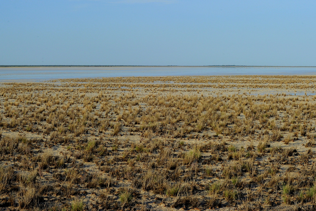 Etosha (6)