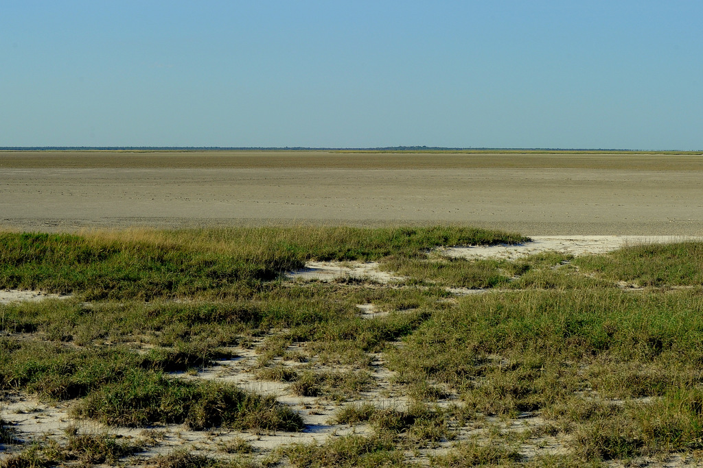 Etosha (7)
