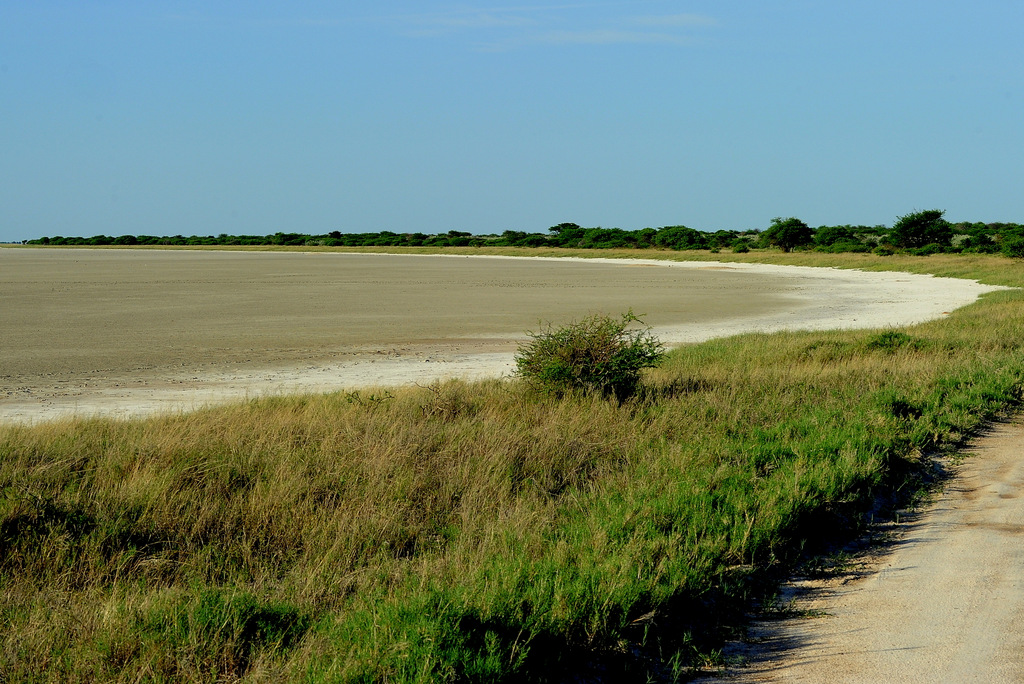 Etosha (8)