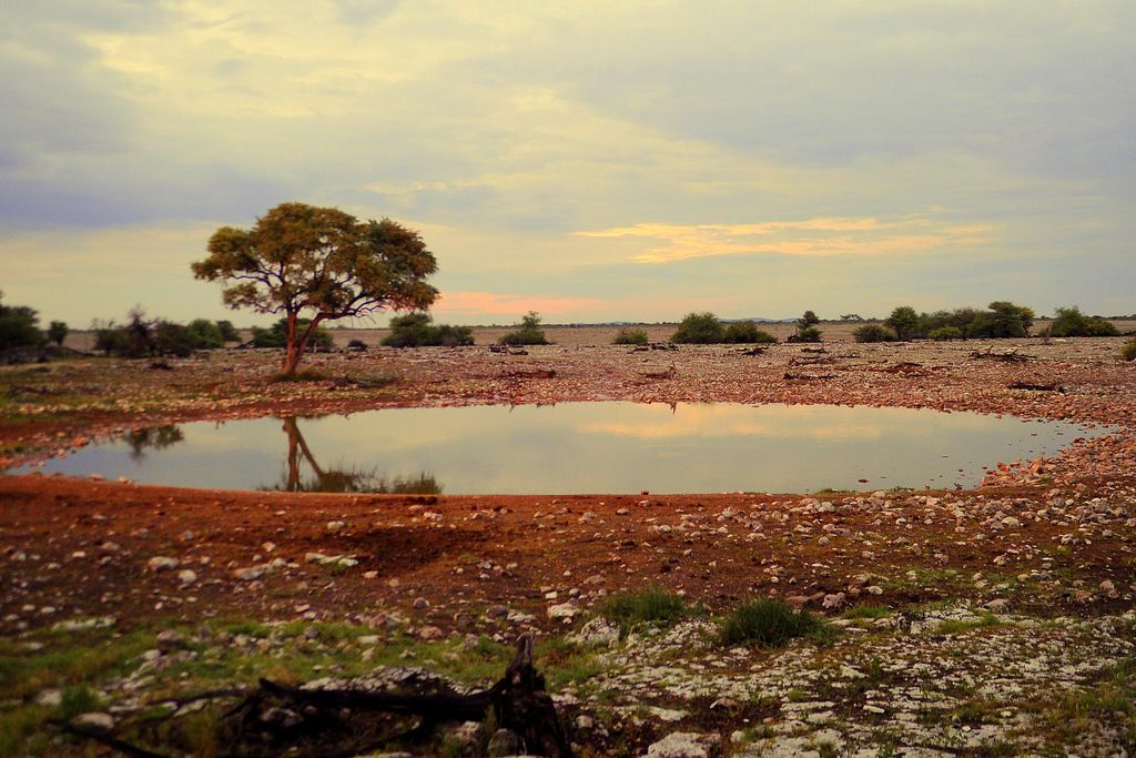Etosha (10)