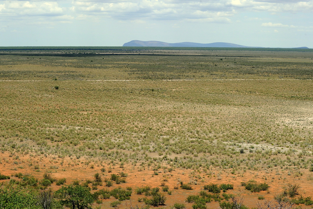 Etosha (11)