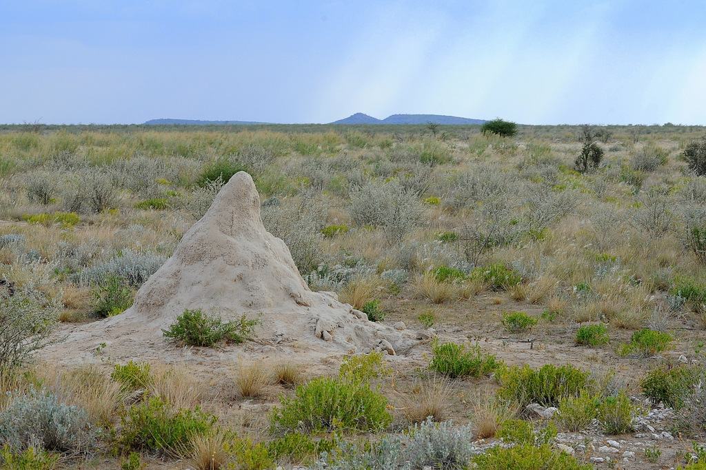 Etosha (13)