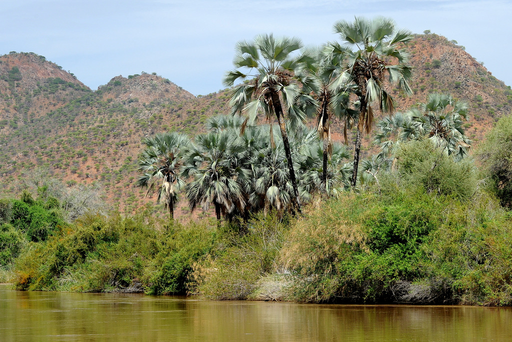 Kunene River