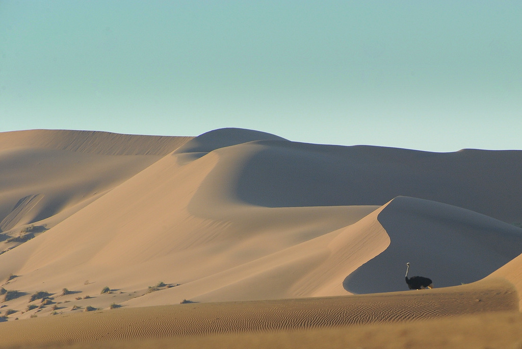 Dunes