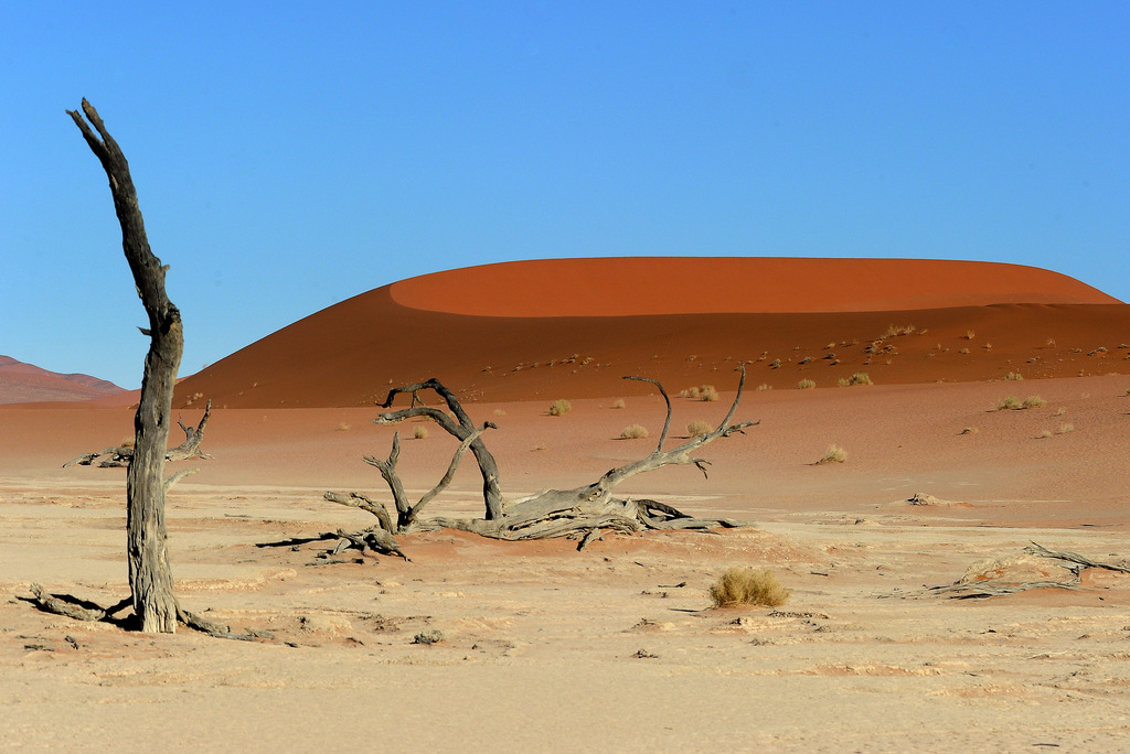 Dunes