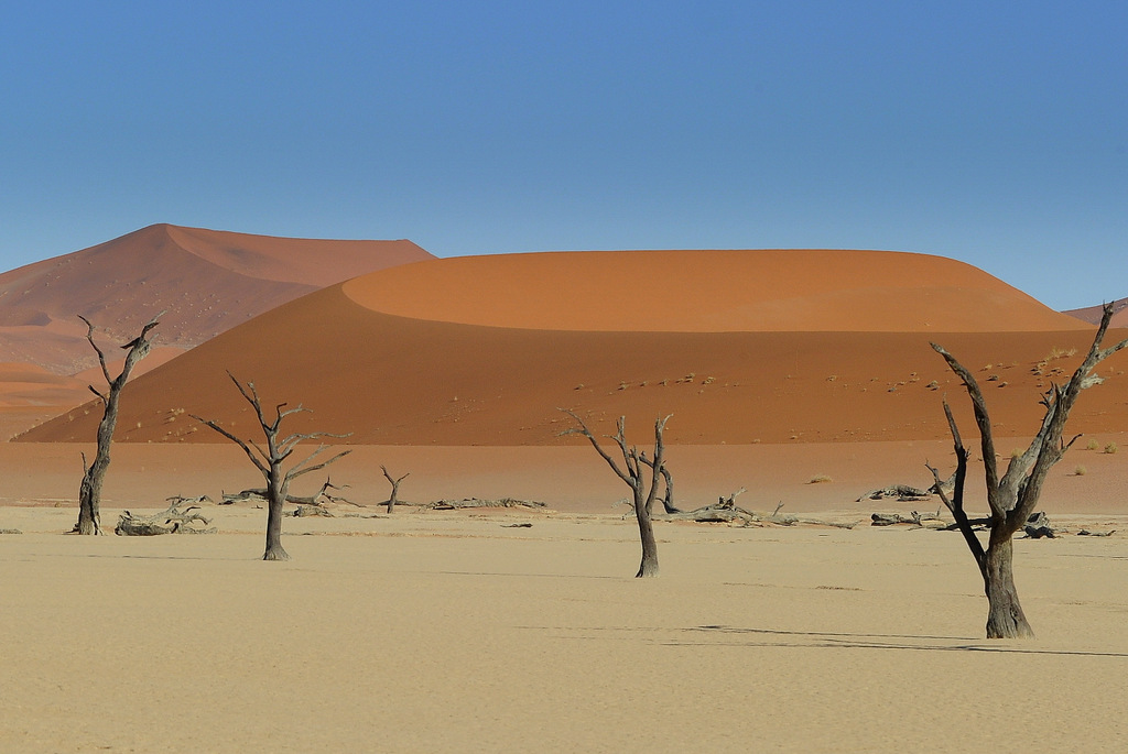 Dunes
