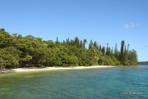 Ilot casy 1 