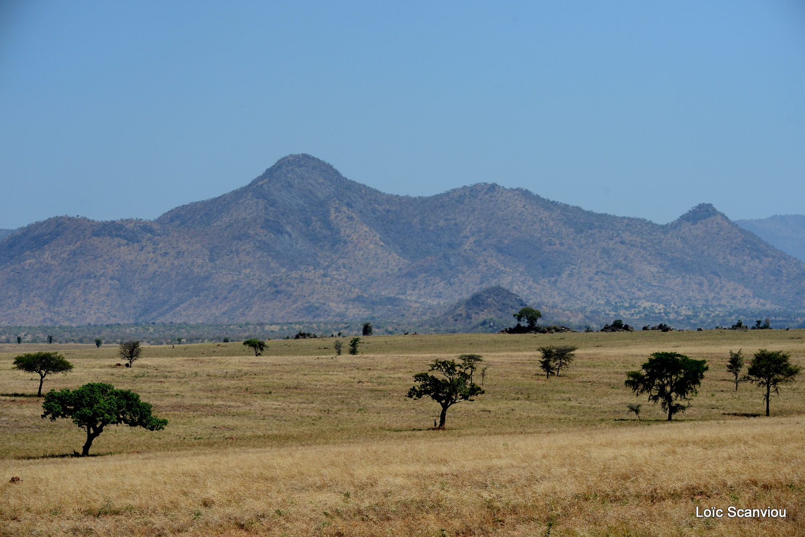 Kidepo Valley National Park (14)