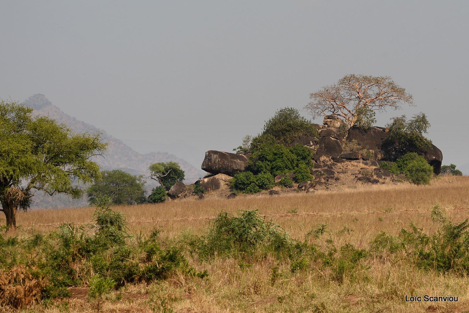 Kidepo Valley National Park (17)