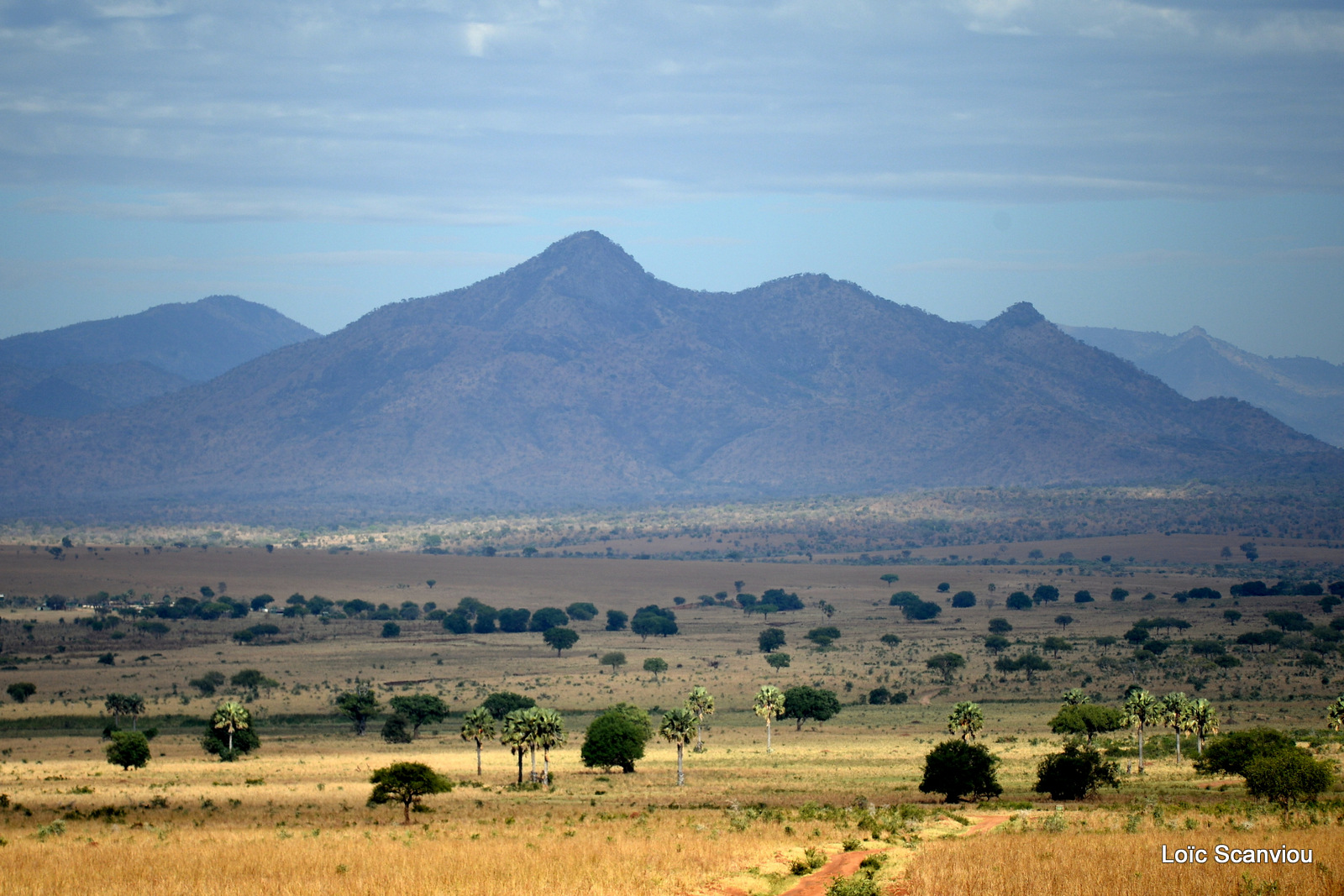 Kidepo Valley National Park (21)