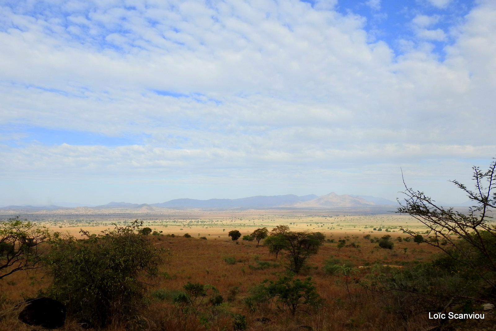 Kidepo Valley National Park (24)