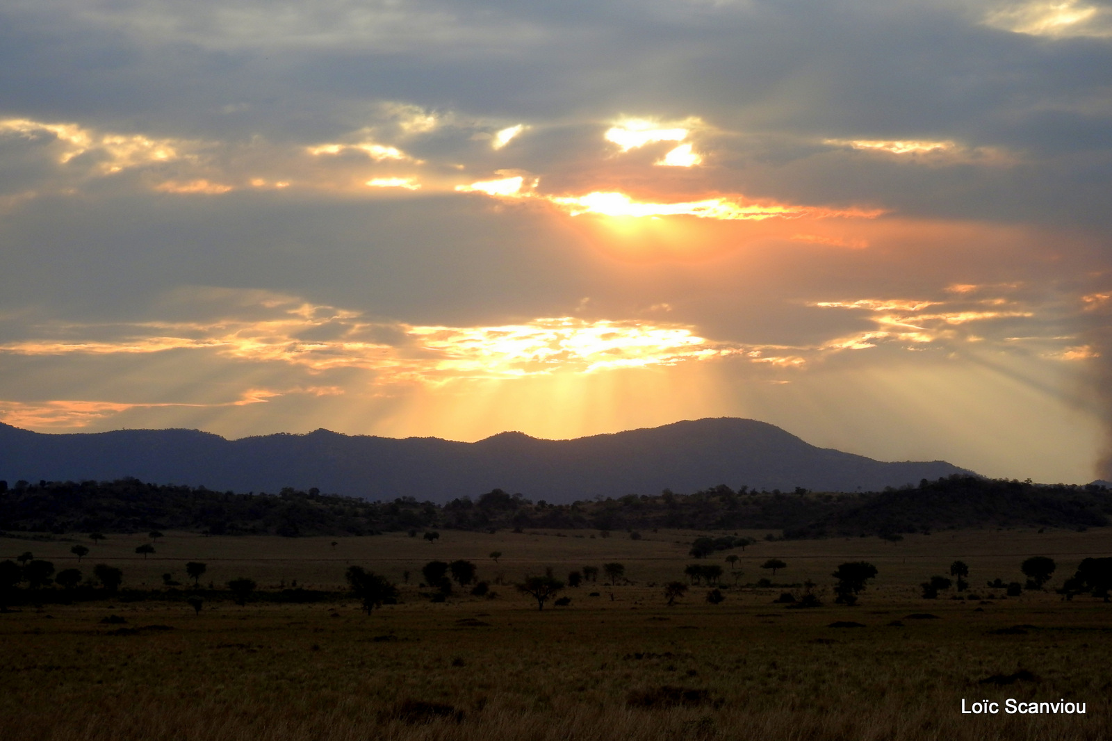 Kidepo Valley National Park (25)