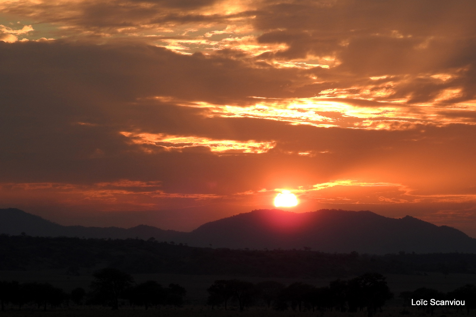 Kidepo Valley National Park (27)