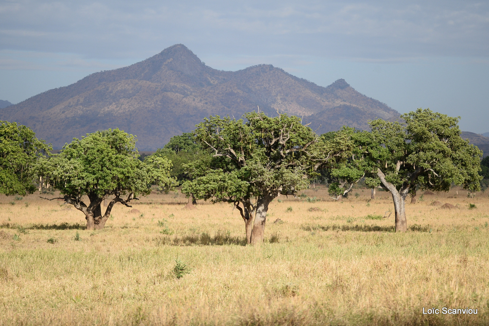 Kidepo Valley National Park (4)