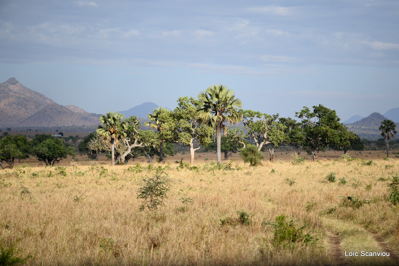 Kidepo Valley National Park (5)