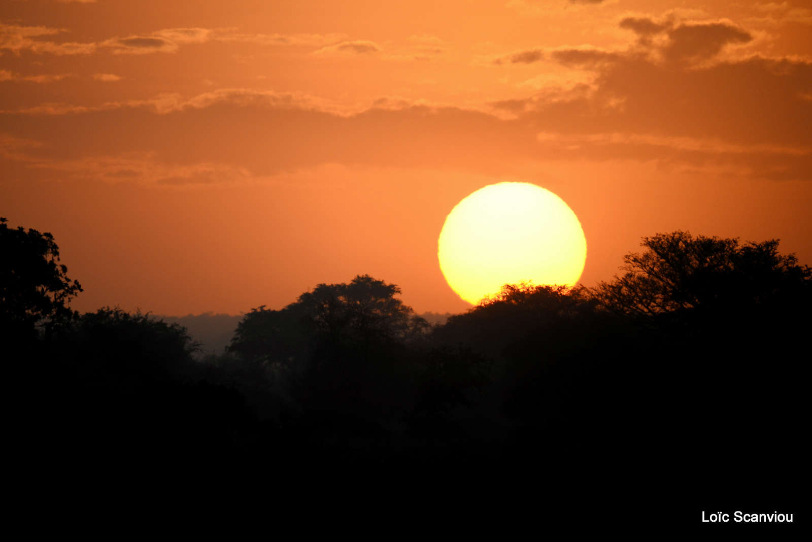 Kidepo Valley National Park (12)
