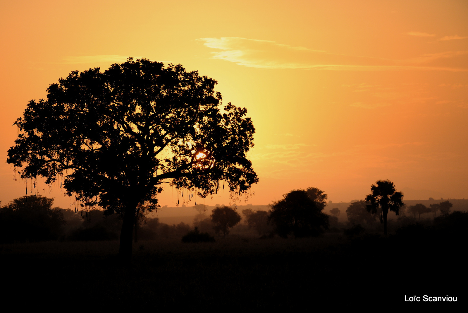Kidepo Valley National Park (13)