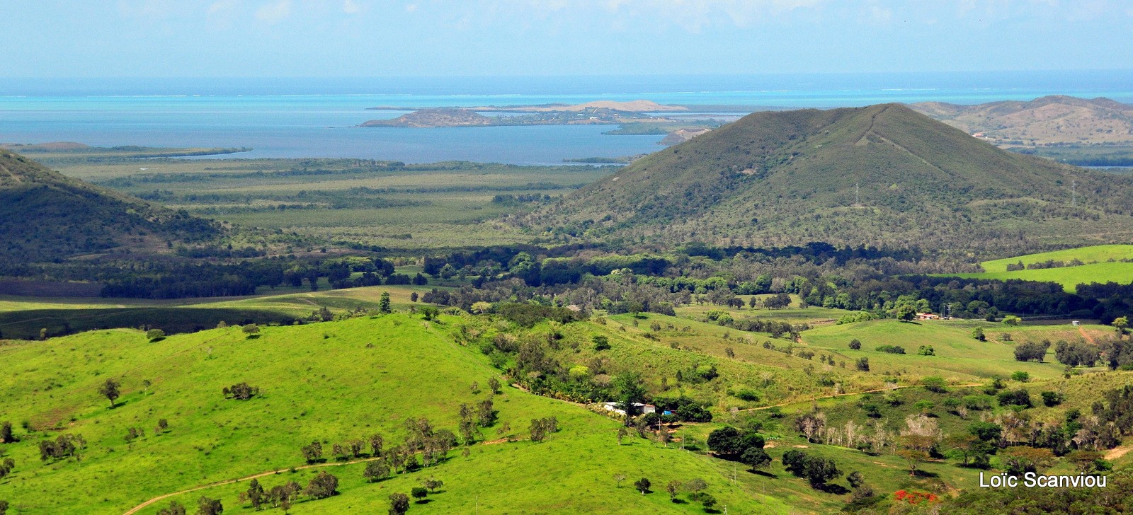 La foa