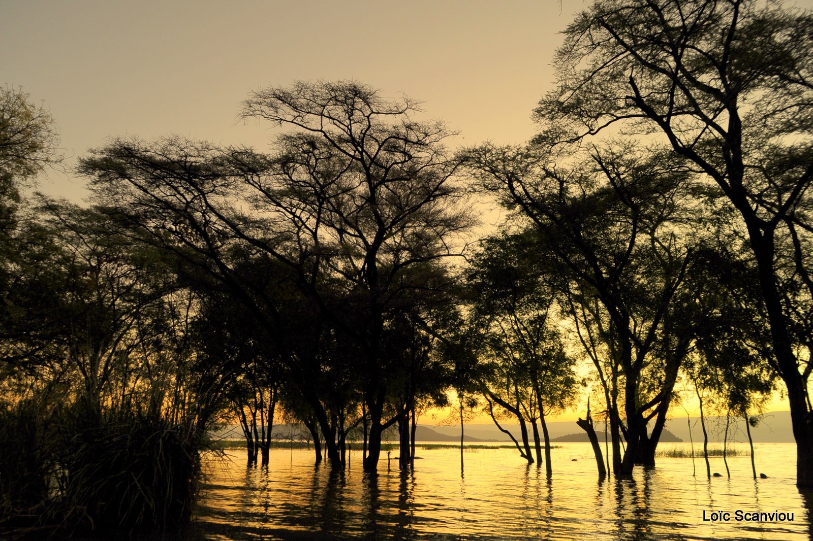 Lac Baringo 2012 (26)