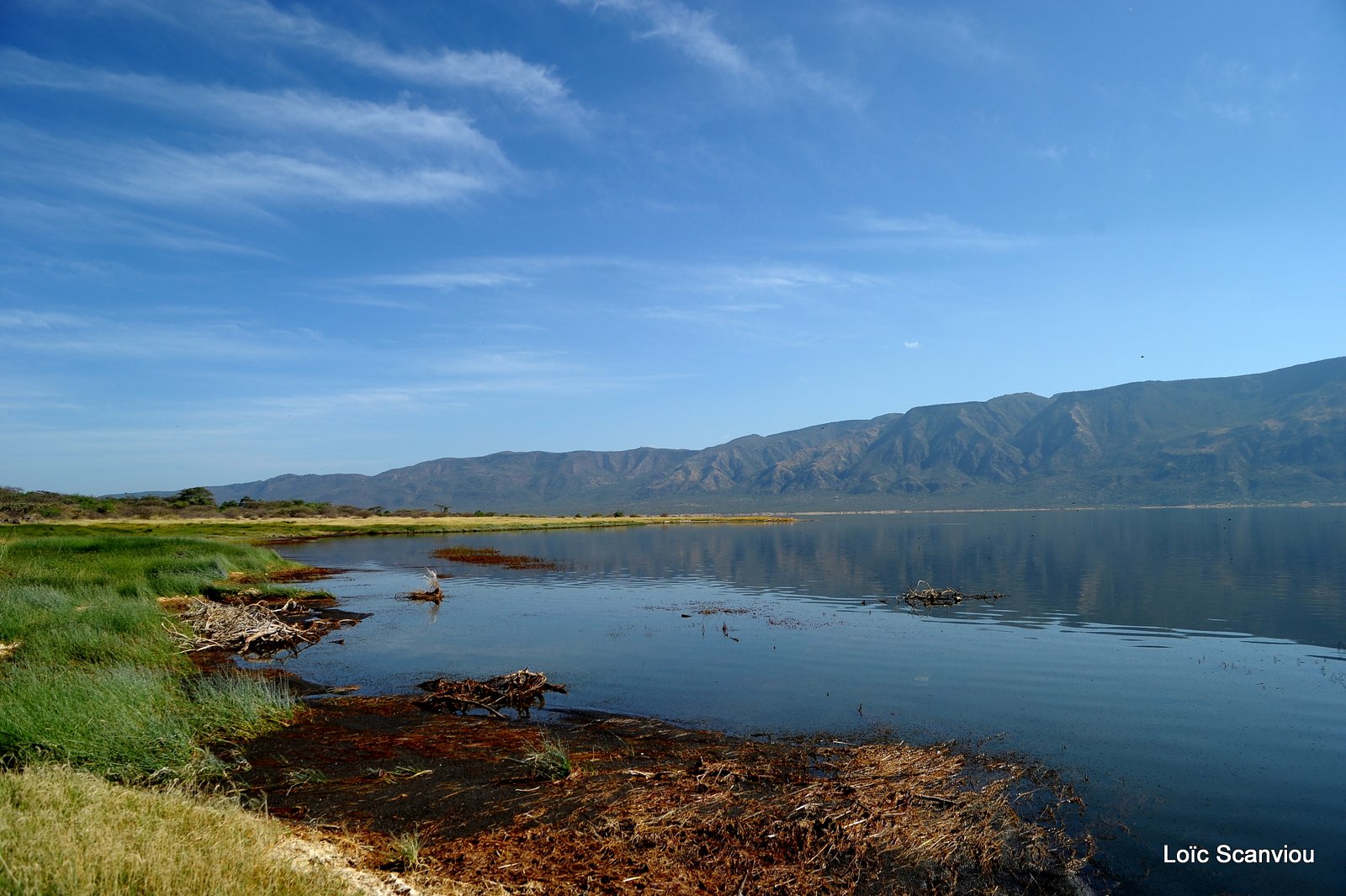 Lac Bogoria 2012 (2)