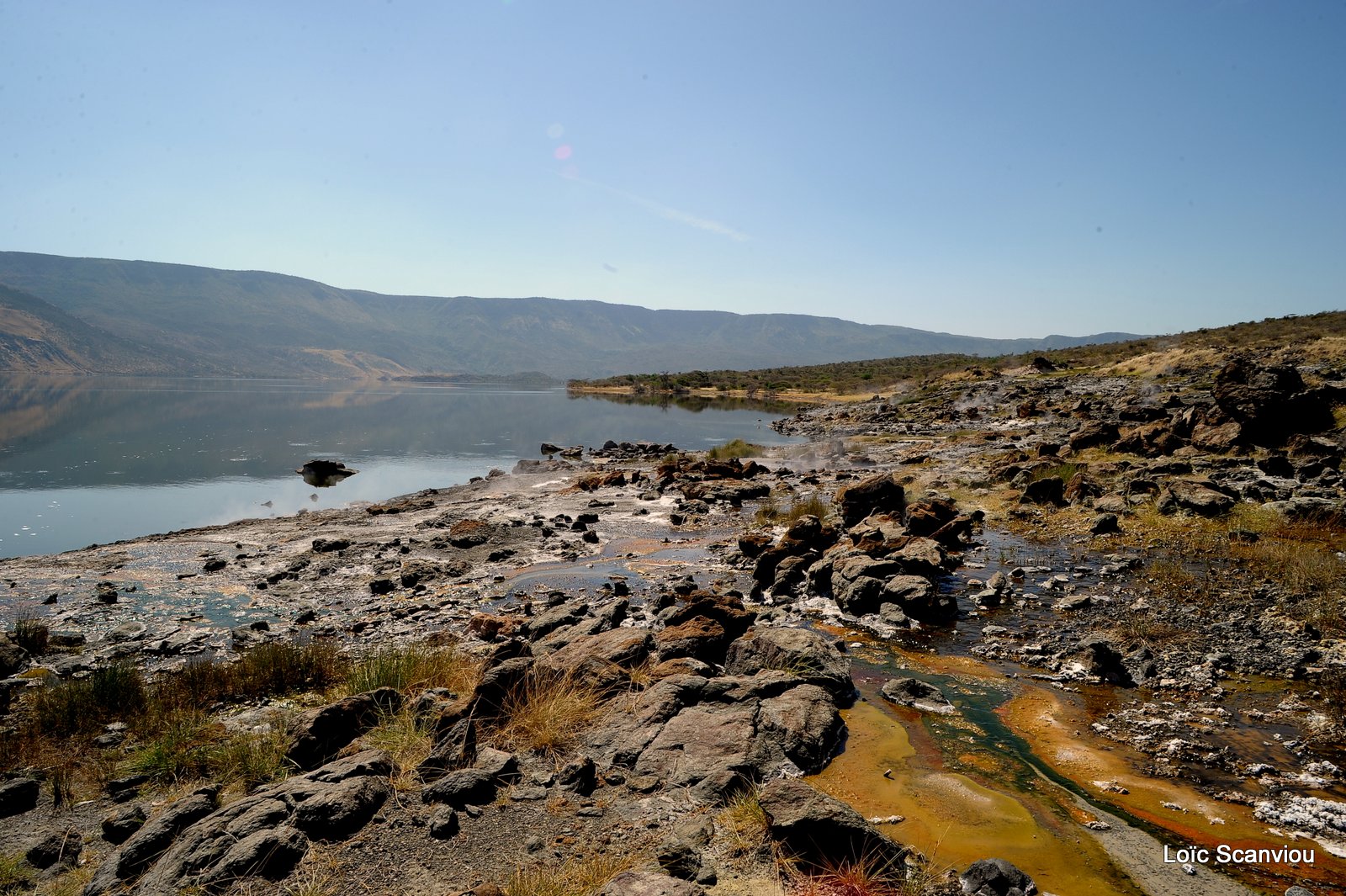 Lac Bogoria 2012 (35)