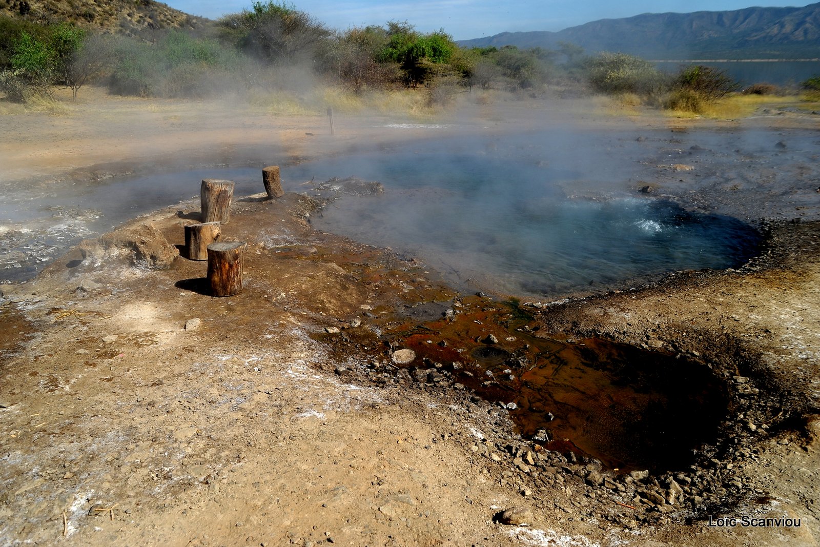 Lac Bogoria 2012 (5)