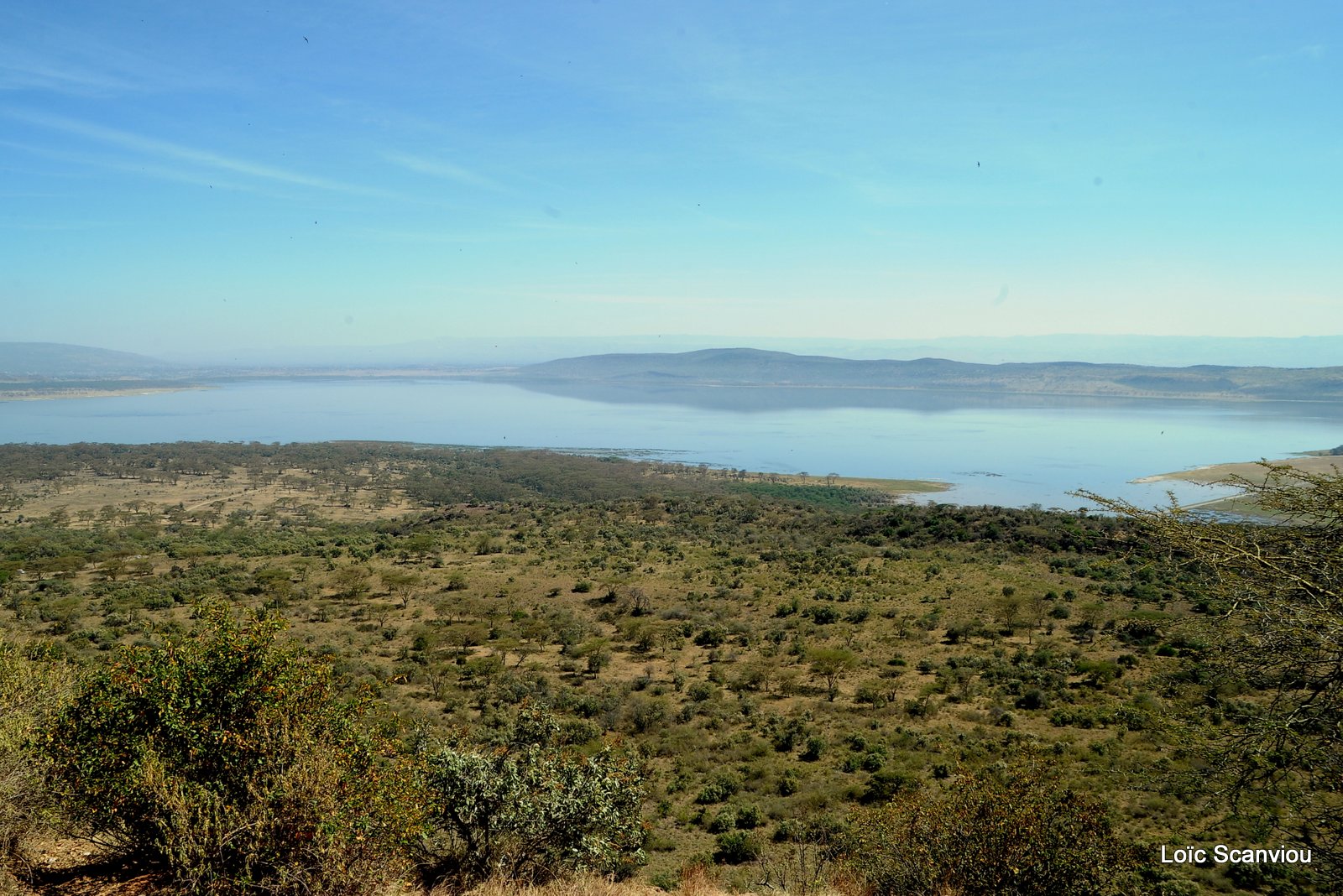 Lac Nakuru 2012 (126)