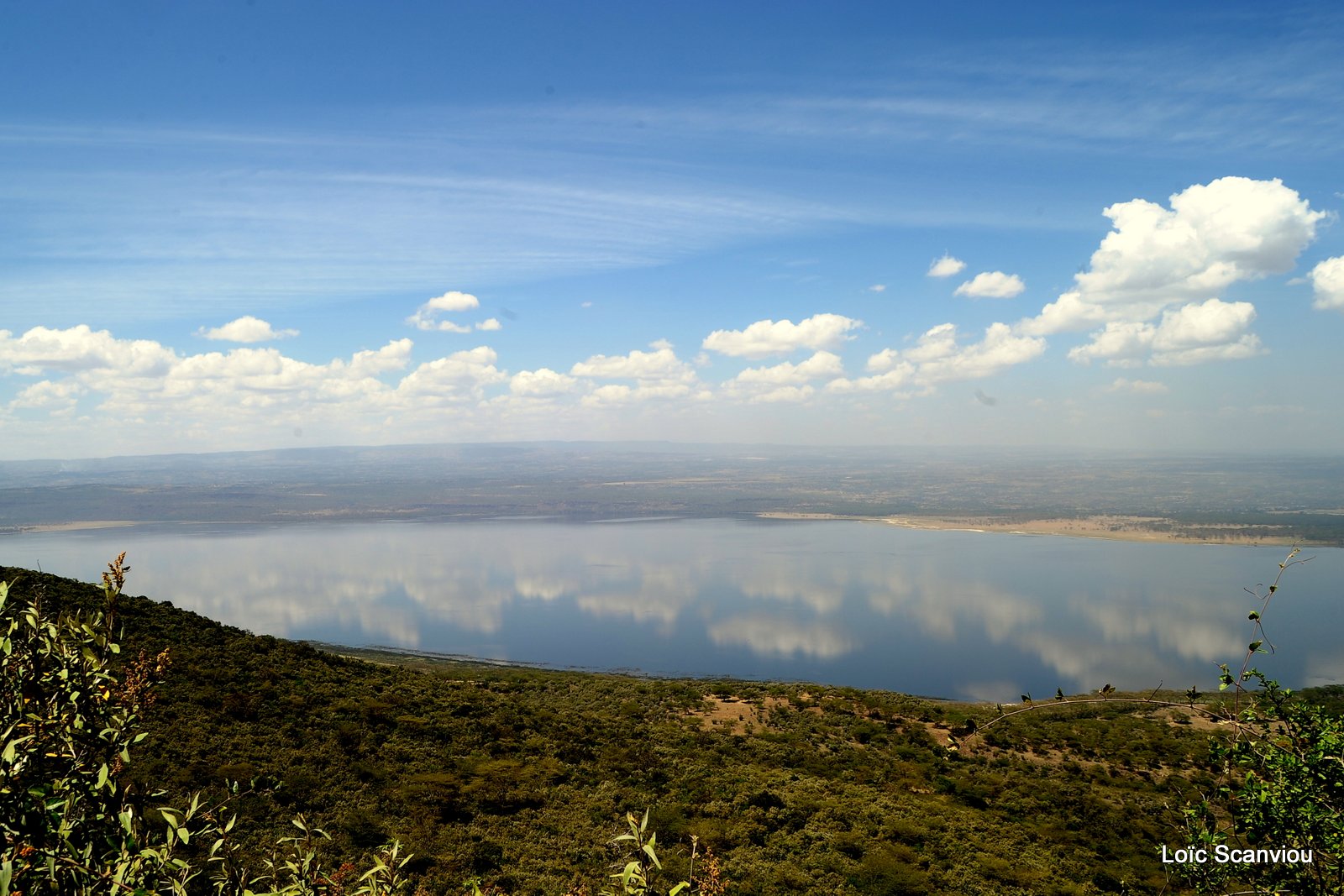 Lac Nakuru 2012 (194)