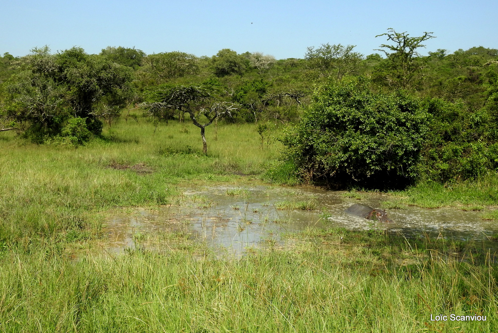 Lake Mburo (139)